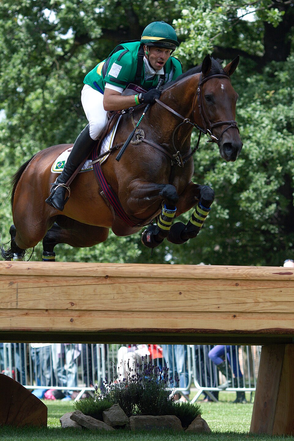 Cheval de sport brésilien (photo Wikipédia)