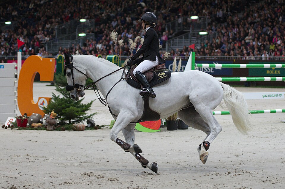 Caballo Deporte Español (photo Wikipédia)