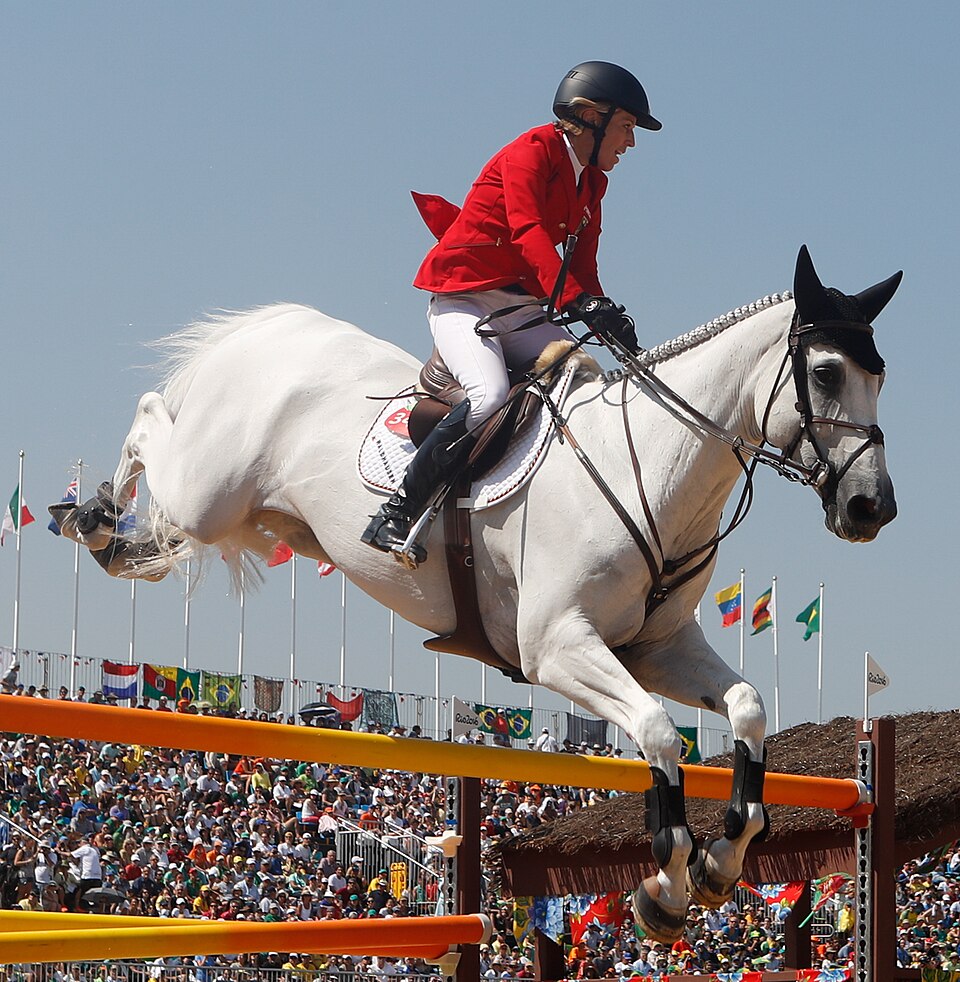 Selle suédois (photo Wikipédia)