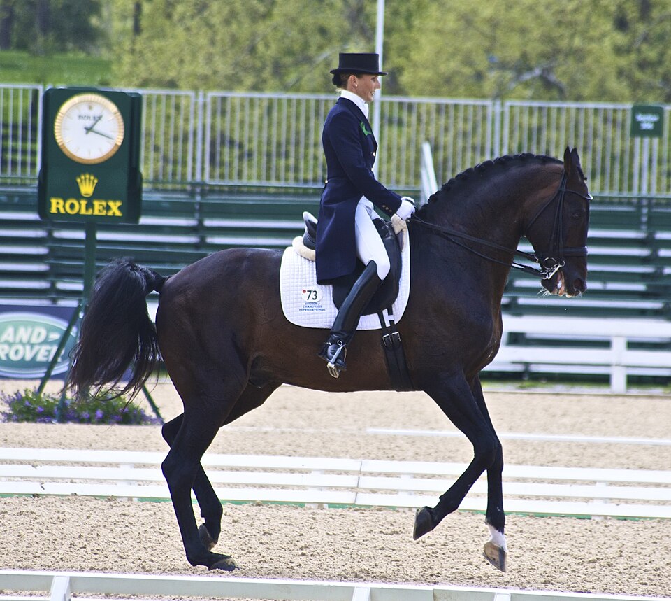 Zweibrücker (photo Wikipédia)